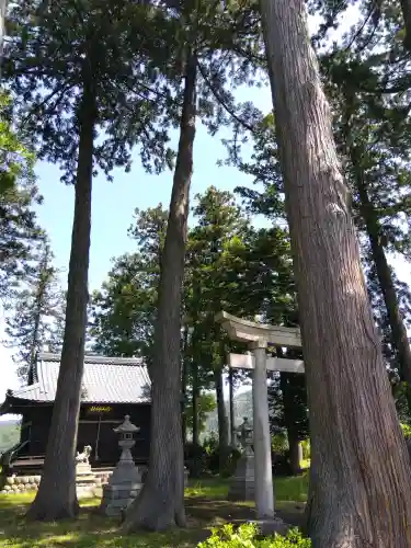 白山神社の{uncategorized: "未分類", other: "その他", undefined: "問題あり", building: "その他建物", grave: "お墓", sacred_gate: "鳥居", guardian: "狛犬", statue: "像", buddha: "仏像", history: "歴史", nature: "自然", garden: "庭園", animal: "動物", pagoda: "塔", temizu: "手水舎", mountain_gate: "山門・神門", sanctuary: "本殿・本堂", subordinate: "末社・摂社", art: "芸術", scenery: "景色", jizo: "地蔵", ema: "絵馬", goshuin: "御朱印", omikuji: "おみくじ", items: "授与品その他", amulet: "お守り", goshuincho: "御朱印帳", eats: "食事", festival: "お祭り", votive_dance: "神楽", shichigosan: "七五三参", wedding: "結婚式", experience: "体験その他", initially: "初詣", around: "周辺", anti_infection: "感染症対策"}