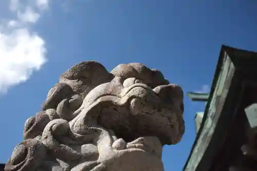 金刀比羅神社の狛犬