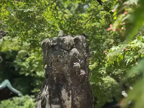 今宮神社の狛犬
