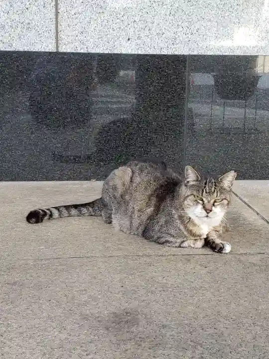 白金氷川神社(東京都)
