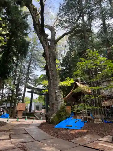 諏訪大社(長野県)