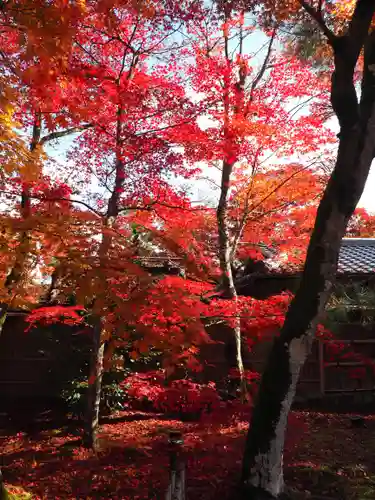 宝厳院(京都府)