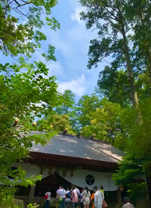 椿大神社の本殿・本堂