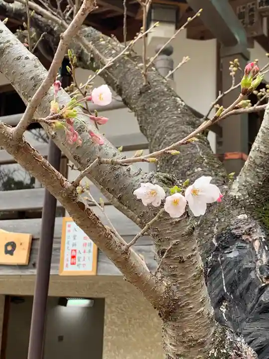 金剛宝寺(紀三井寺)の自然