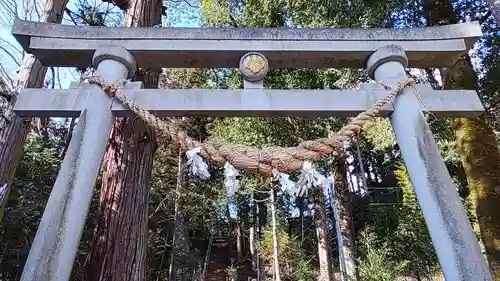 王宮伊豆神社の鳥居