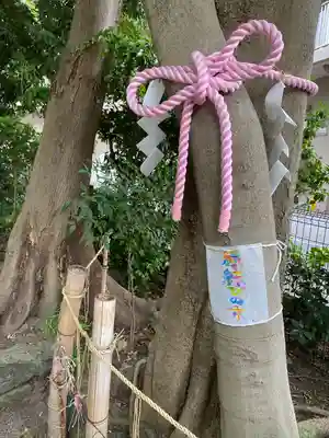 伊和志津神社(兵庫県)