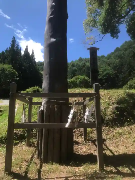 諏訪大社上社前宮(長野県)