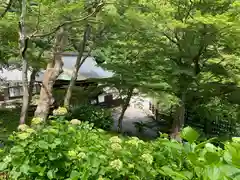 普門寺(切り絵御朱印発祥の寺)(愛知県)