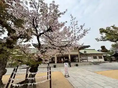 難波大社　生國魂神社(大阪府)