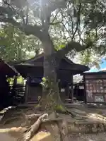 青井阿蘇神社(熊本県)