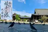 大通寺(長浜御坊)の御朱印