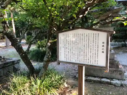 佐用都比売神社の自然