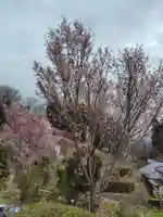 大乗寺(福島県)