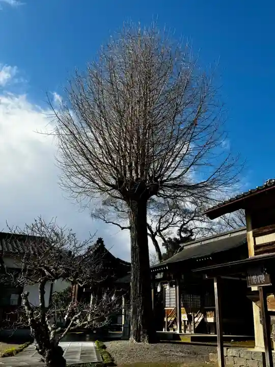 女代神社(兵庫県)