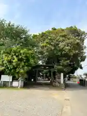 畑子安神社(千葉県)