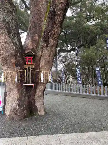 加藤神社(熊本県)
