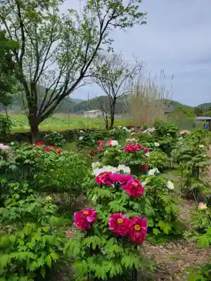隆国寺(兵庫県)