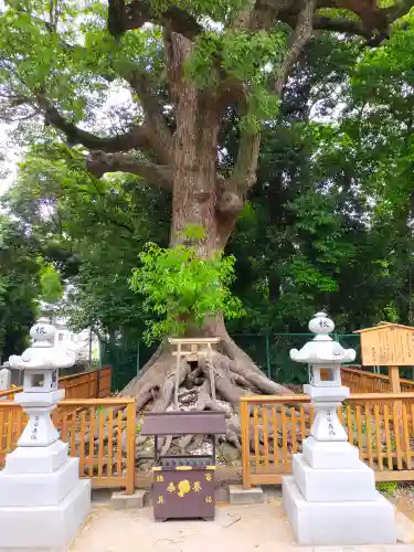 大鳥美波比神社（大鳥大社境内摂社）のその他建物