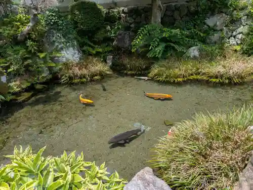 玉泉寺(岐阜県)