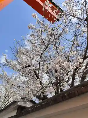 伏見稲荷大社(京都府)