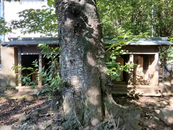 須賀神社(千葉県)