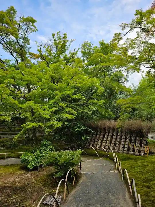 宝厳院(京都府)