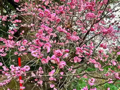松森天満宮(長崎県)