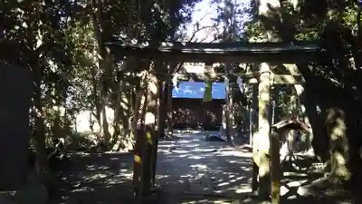 𠮷田神社の鳥居