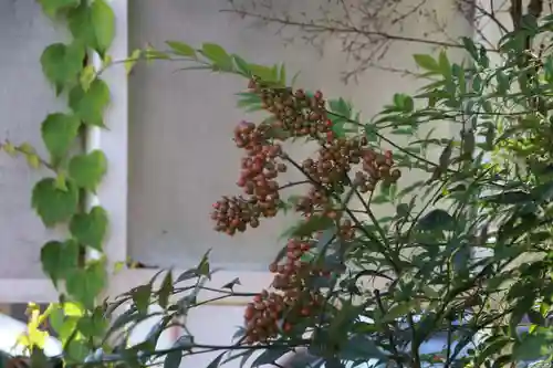 篠葉沢稲荷神社の庭園