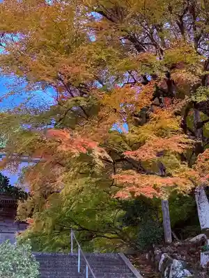萬徳寺(福井県)