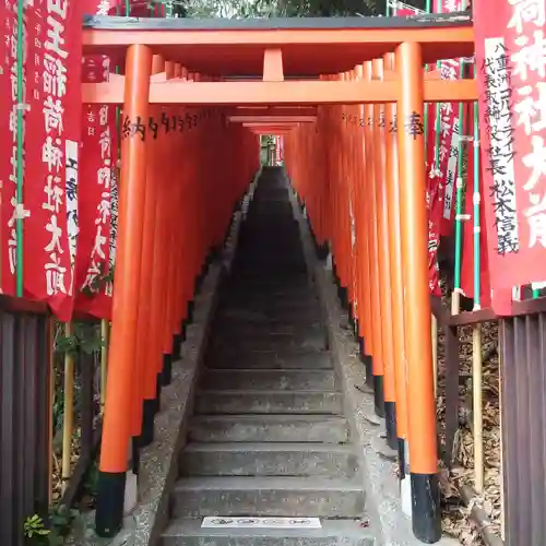 日枝神社の鳥居