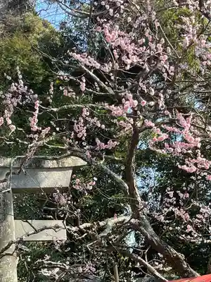 荏柄天神社(神奈川県)