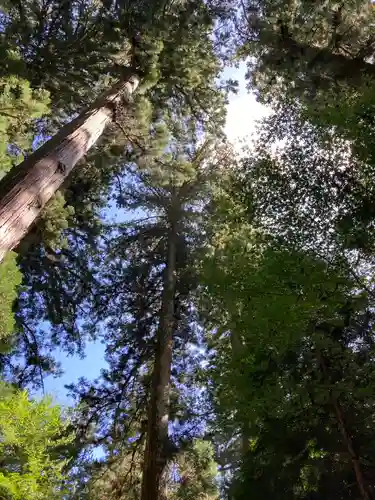 花園神社(茨城県)