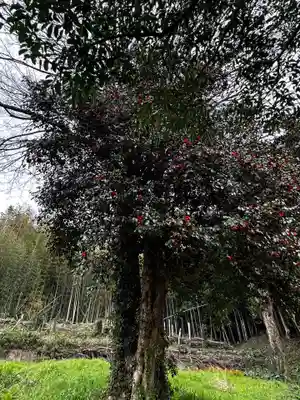 揖夜神社(島根県)