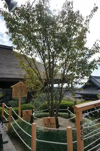 地主神社の庭園