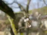 伊勢の国 四天王寺の自然