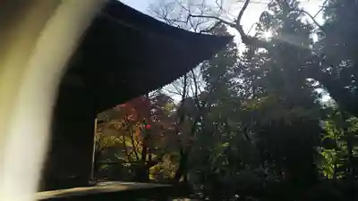 室生寺のその他建物