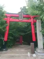 稲荷神社(柏井稲荷社)の鳥居