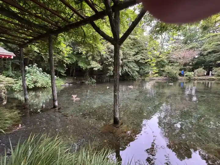富士山本宮浅間大社(静岡県)
