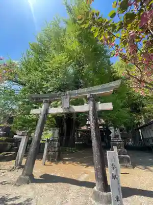 筒賀大歳神社(広島県)