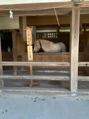 金刀比羅宮(香川県)