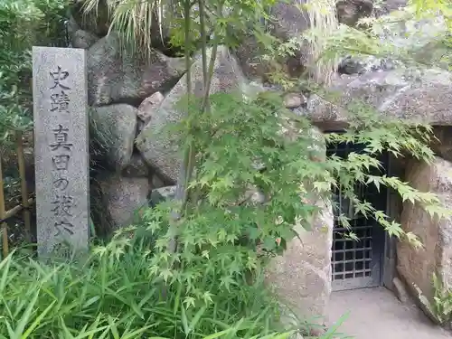 真田山 三光神社の自然