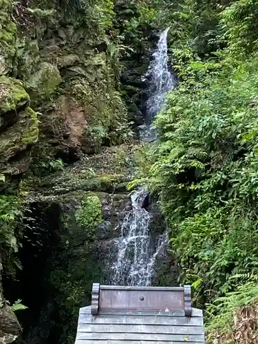 松尾大社の自然