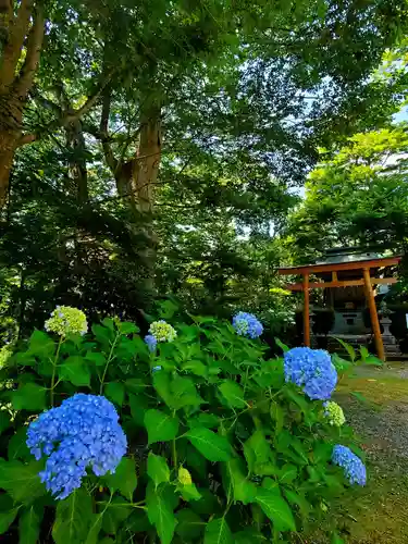 石都々古和気神社の自然