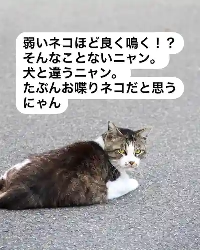 専念寺(大阪府)