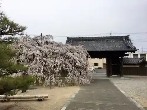 専修坊のその他建物