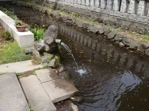 玉村八幡宮の庭園