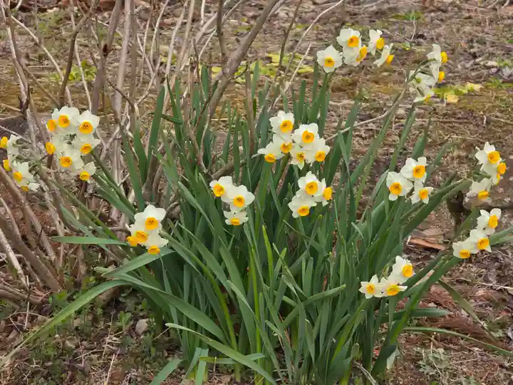 長楽寺(兵庫県)