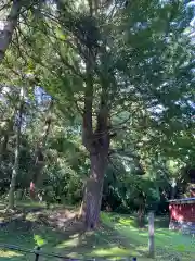 猿賀神社の自然