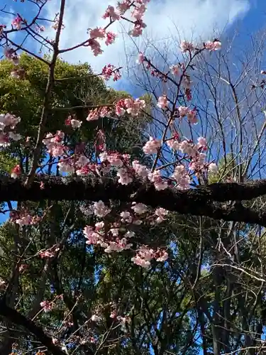 上野東照宮の自然
